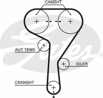 Timing belt cambelt gates - belt,