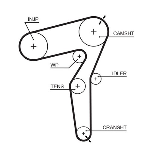 Timing belt and adjustment