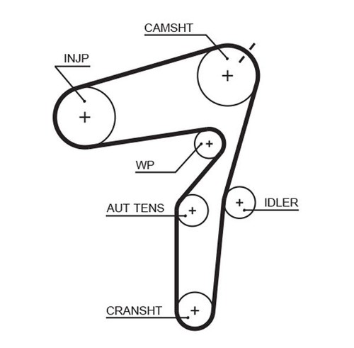 Timing belt and - , adjustment