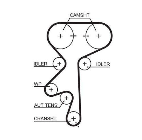 Timing belt and adjustment