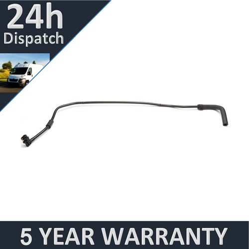 Thermostat water coolant - thermostat, hose